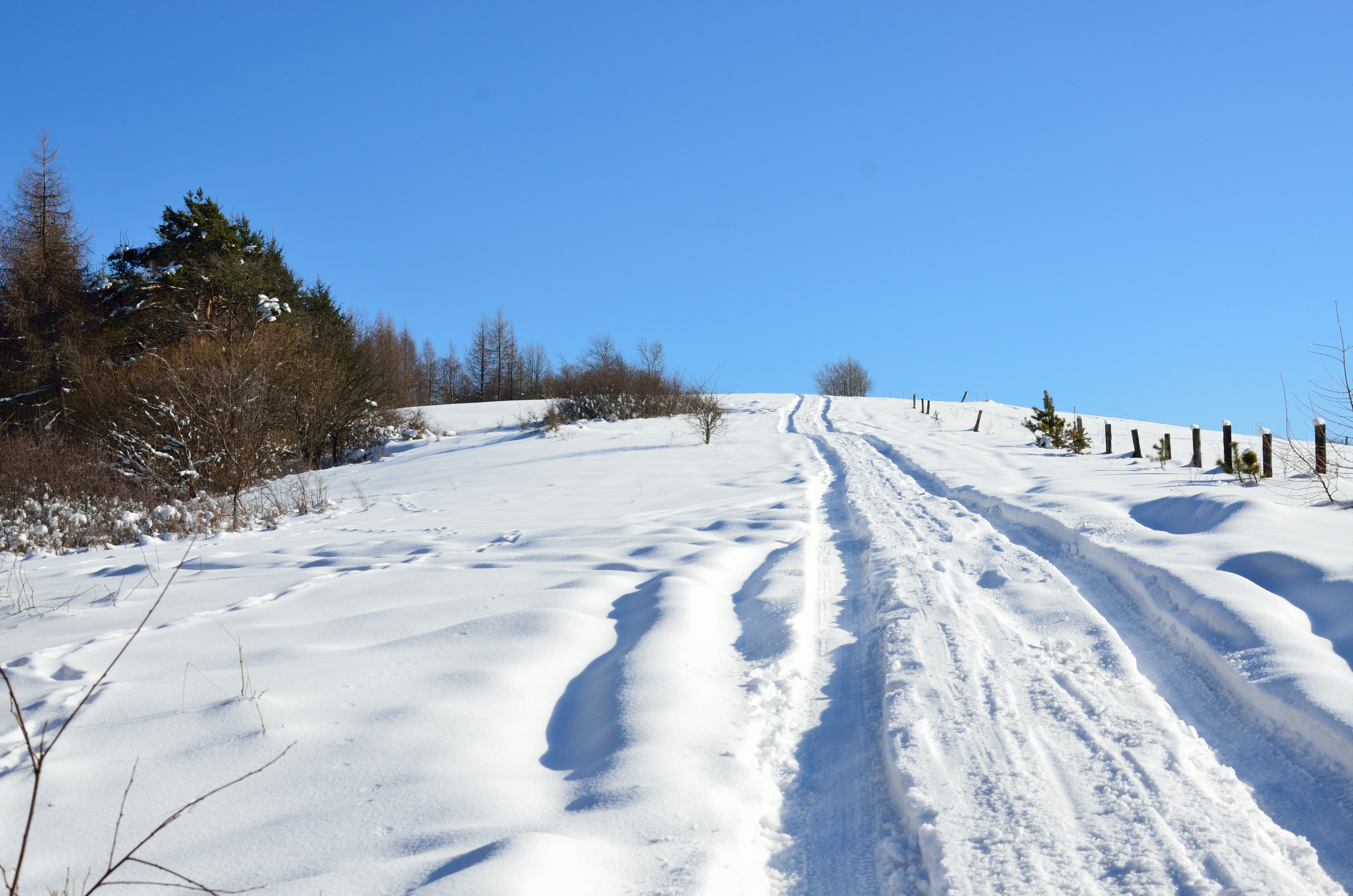Długa droga - podjazd zimą